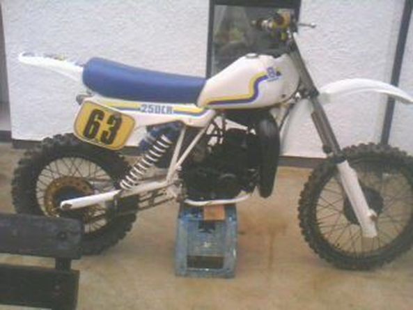 250_husky_63.jpg