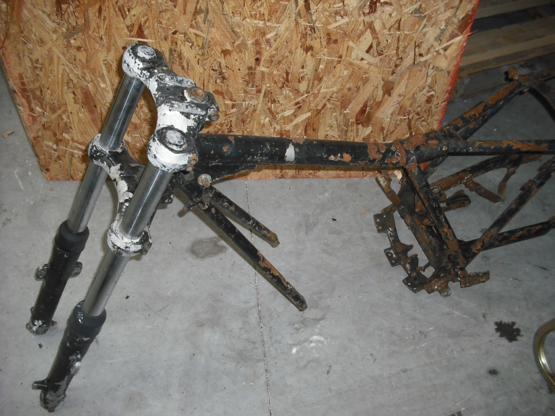 an_ossa_007.jpg